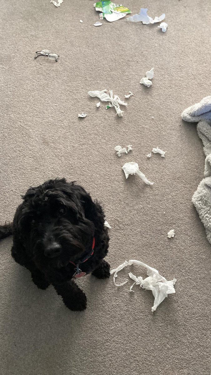 cathfirth's tweet photo. @JosueORivas It wasn’t me https://t.co/TiZV46LxvY