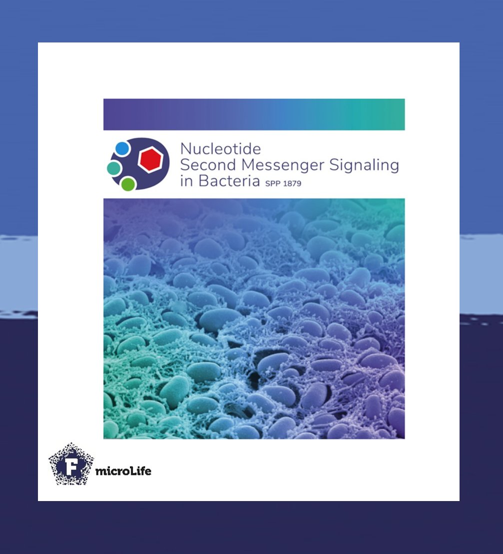 microLifeJrnl's tweet photo. If you are interested in nucleotide second messenger signaling in bacteria, look no further!
Hengge & al. compiled a comprehensive review on the status of the field and future perspectives, as emerged from the @SPP1879 symposium 🦠
https://t.co/ZjevXIjt2q https://t.co/Mwy9ieQ0K7