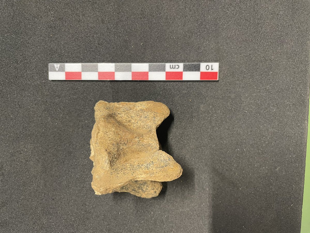 Helene Benkert tweet media