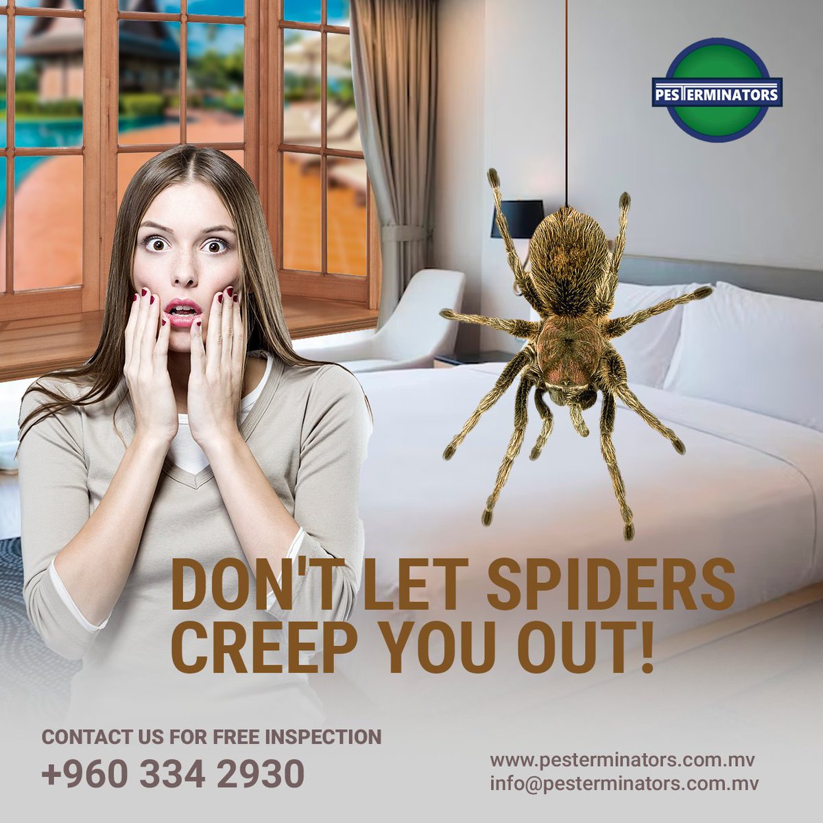 Don't let spiders creep you out!

.
#pesterminators #pest #pestcontrol #Maldives #Pesterminators #spiderremoval #reliable #professional #EffectiveSolutions #TailoredToYourNeeds #ComfortAndSafety #Maldives #PestControl #EcoFriendly #Biodegradable #EnvironmentallyFriendly #spiders