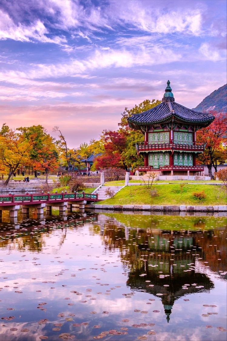 La novela Beka y su viaje en el tiempo está inspirada en la época de la dinastía Joseon en Corea (1.392-1.897) y la historia de los protagonistas se desarrolla en el Palacio Gyeongbokgung, muy especialmente en su estanque de loto. Se puede leer en Wattpad. shorturl.at/lstK8