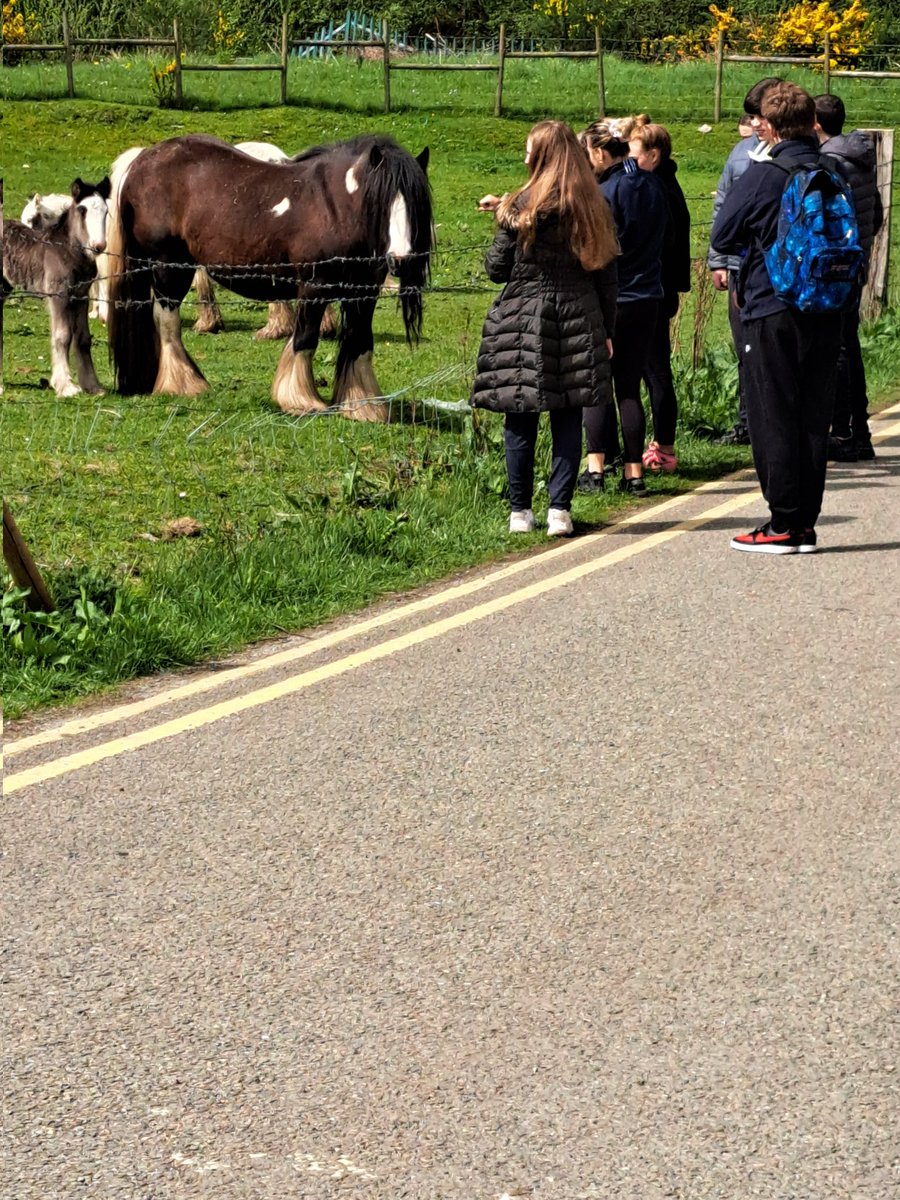 POConnor_Bus_RE's tweet image. @OldBawnCS  5th year class Ultan getting to know their community and meeting some of the locals, thanks to Ms. Byrne for being our guide and sharing so much local knowledge #LCA #Socialeducation #module2