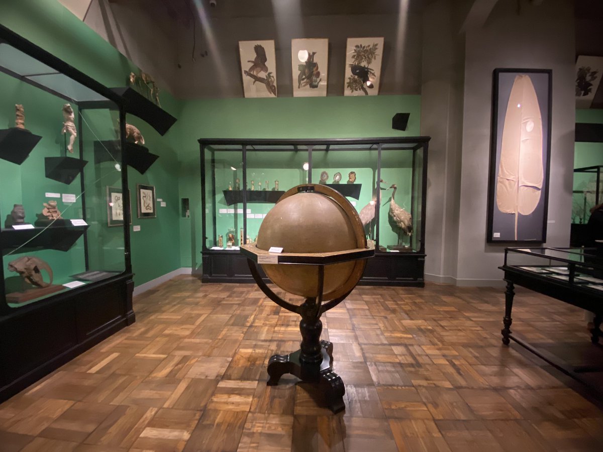 最~~~~~~高ｫｫｫｫの空間じゃったｱｱｱｱ兎に角「世界一デカイ」なモノ集めてあるの標本好き嬉しすぎたあと吊り下げず自立させた展示方法迫力あって好き過ぎる https://t.co/wyh7YuzSDK