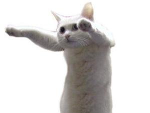 good bye 💩 tweet media