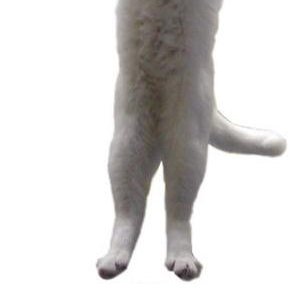 good bye 💩 tweet media