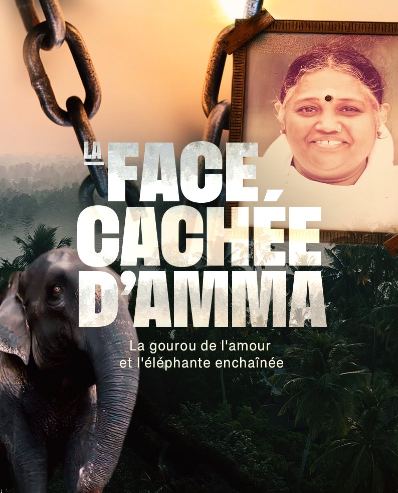 Hugo Clément tweet media