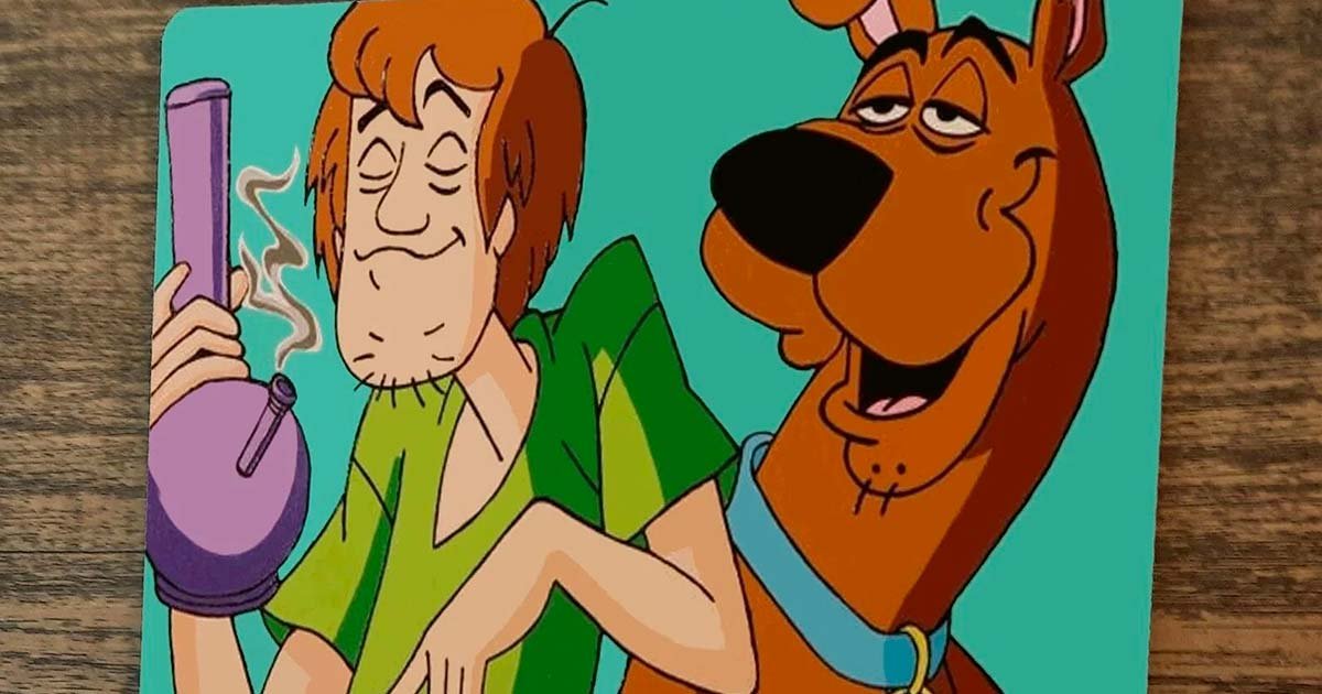 sweetseeds_es's tweet photo. 🤔¿Sammy👨🏽‍🦰 (de Scooby-Doo🐕) era realmente un amante del 💚cannabis💨? Aquí tienes 7⃣ razones por las que creemos que SÍ! 👇🏽 @newsweedFR 

🔗https://t.co/1472Quyoym  

😝¿Te se ocurre algún otro personaje animado #fumeta?✌️🏽

#FelizMiercoles #SweetSeeds #CannabisCommunity https://t.co/CxHvHOx5ck