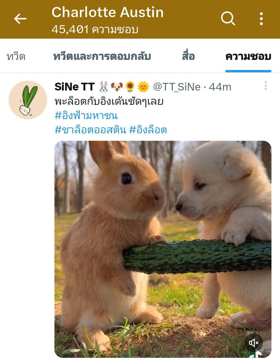 SiNe TT 🌻🌞 tweet media