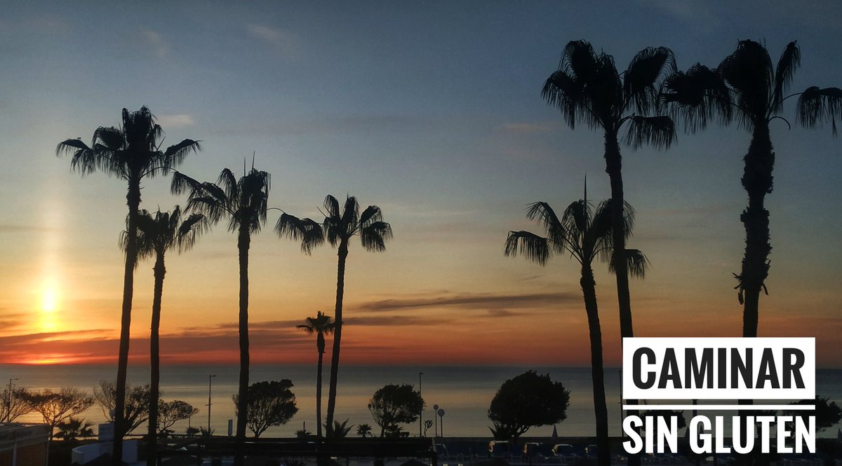 Caminar sin gluten 💚💚 tweet media