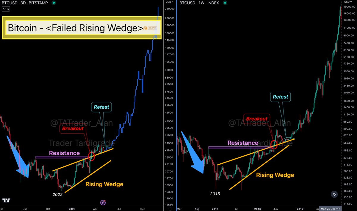 Trader Tardigrade on X