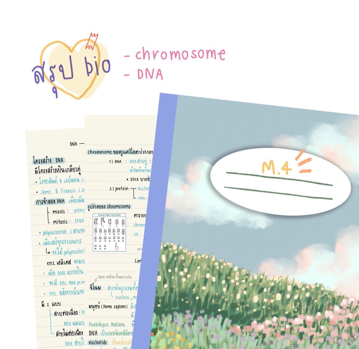 𓇼​ แจกสรุปชีวะ 𓇼​

𝐫𝐞 + 𝐟𝐨𝐥𝐥𝐨𝐰🫶🏻

- chromosomes / dna เนื้อหาค่อนข้างละเอียด 
- ไม่อนุญาตให้นำไปใช้ในเชิงพาณิชย์
- จดไว้ตอนม.4 ผิดพลาดตรงไหนขออภัยด้วยน้า

#dek67 #dek68 #dek69 #dek70 #dek71 #แจกสรุป #tu88