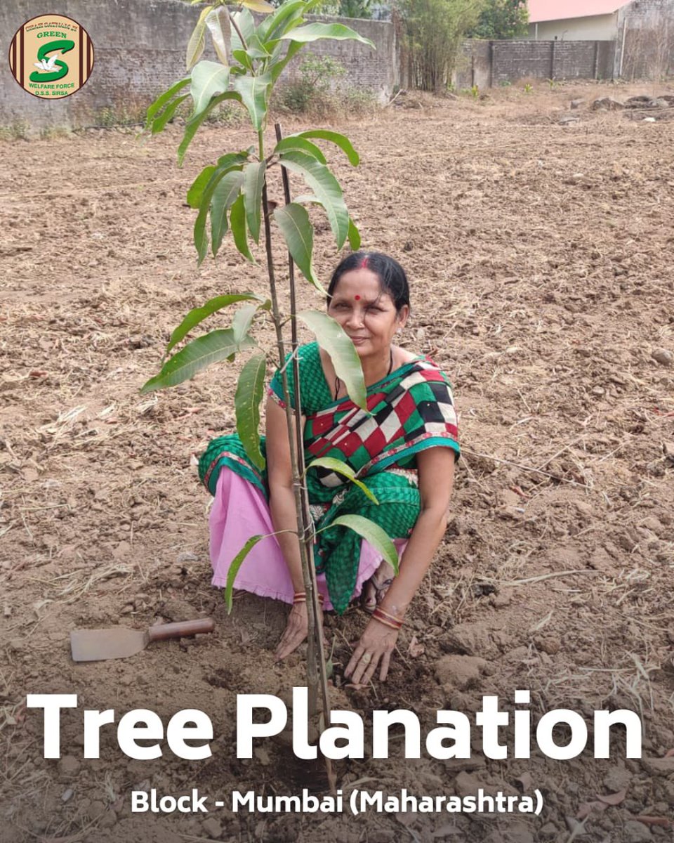 GreenSwelfares's tweet photo. Planting seeds of hope for a greener future! 🌳🌍 The volunteers of #DeraSachaSauda nurture the environment with tree plantation drives, creating a sustainable legacy.
#ClimateAction #naturelovers #NurtureNature #TreePlantation https://t.co/irNTedm8Q1