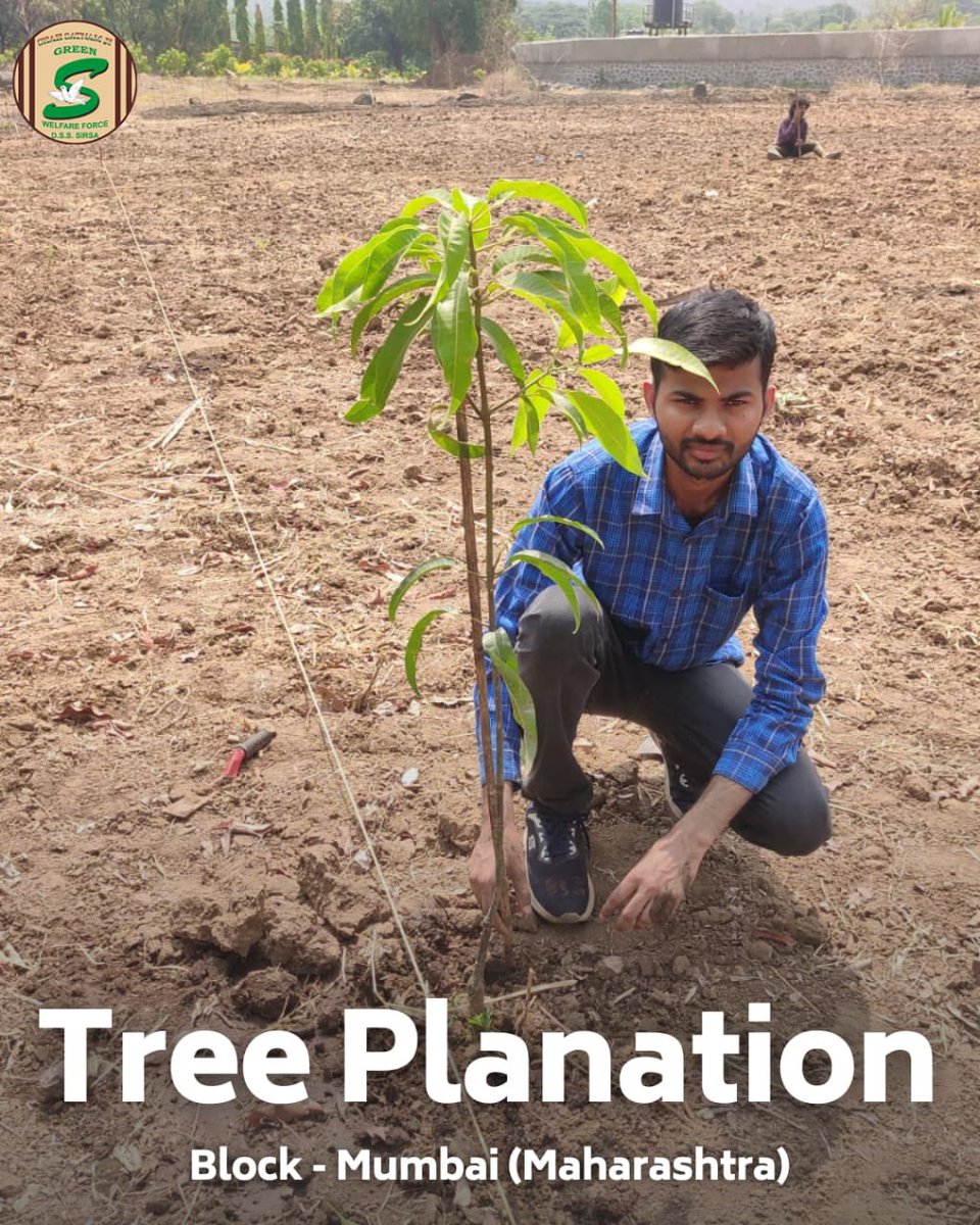 Planting seeds of hope for a greener future! 🌳🌍 The volunteers of #DeraSachaSauda nurture the environment with tree plantation drives, creating a sustainable legacy.
#ClimateAction #naturelovers #NurtureNature #TreePlantation