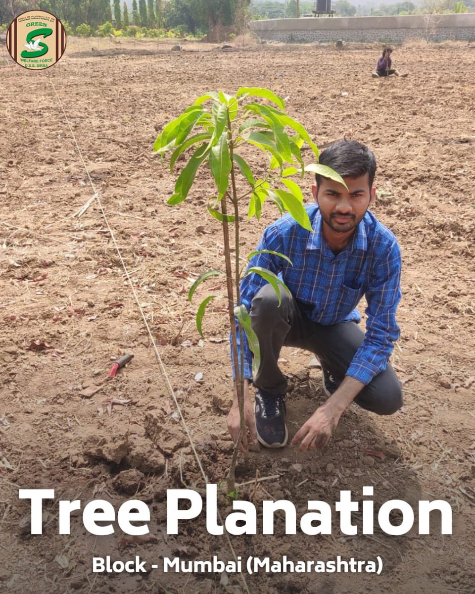 GreenSwelfares's tweet photo. Planting seeds of hope for a greener future! 🌳🌍 The volunteers of #DeraSachaSauda nurture the environment with tree plantation drives, creating a sustainable legacy.
#ClimateAction #naturelovers #NurtureNature #TreePlantation https://t.co/irNTedm8Q1