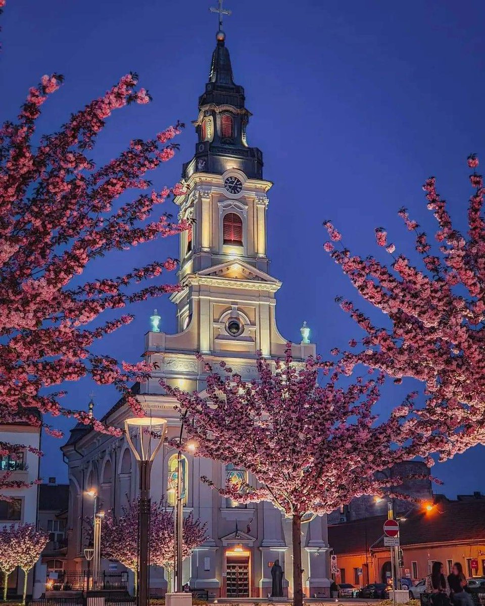 Travel_2Romania's tweet photo. Biserica cu Lună 🌒 și o mare de cireși japonezi 🧡 #Sakura #Church
📍 Oradea #Oradea
Foto 📸: ghiuro.flaviu
#DiscoverRomania https://t.co/l8oY7pvTfy