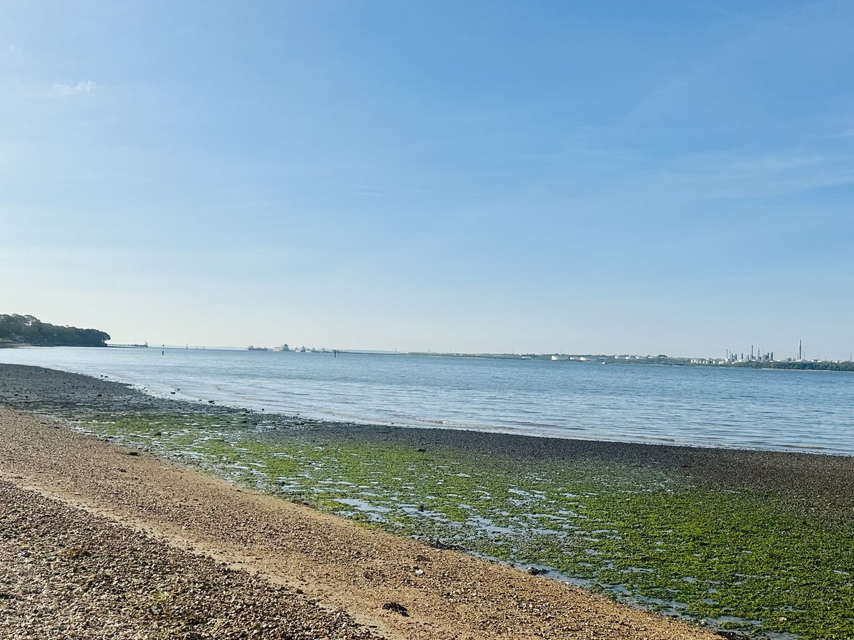 Oh what a beautiful morning…#Southampton #earlybird #dogwalk #citylife #westonshore 🌊⛴️🦪🚢