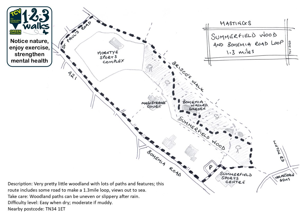 *Summerfield Wood LNR #hastings #eastsussex*
Wildflower spotter sheet - all pics taken here 28/04/2023
See 123 FB page for more pics
#getwalking #naturewalks #springwalks #hastingsbluebells #walkforwellbeing #connectwithnature