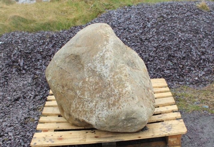 Sandford_Police's tweet photo. Officers have been sent to accompany the Boulder of Fate to #BuckinghamPalace 

This large boulder the size of a small boulder has historically been used during previous #Coronation of Kings and Queens https://t.co/M9PsUZSeDQ