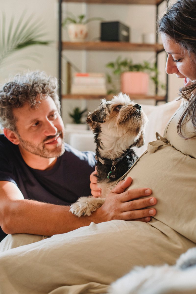 happyhoundhaven's tweet photo. Dogs can also help children with attention and focus. Children with ADHD have shown improvement in focus and behavior when interacting with dogs. Have you seen this positive impact on a child with ADHD? #ADHDSupport #FocusImprovement https://t.co/Kc740rfT67