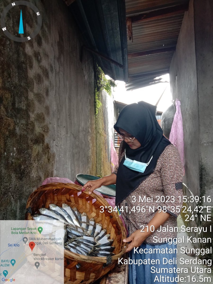 NKabinawati's tweet photo. Rabu, 03 Mei 2023, pendataan produksi harian poklahsar Kembung Rebus Mandiri desa Medna Krio Kec. Sunggal  sebanyak 215 kg ikan kembung, dan dipasarkan oleh 10 org pelaku pemasaran 
#GiatLuhkanSatminkalBP3Medan 
#pindangikan
@puslatluhkp 
@bp3medan 
@brsdm_kp 
@Ditjen_PDSPKP https://t.co/zemqHUEK3Z