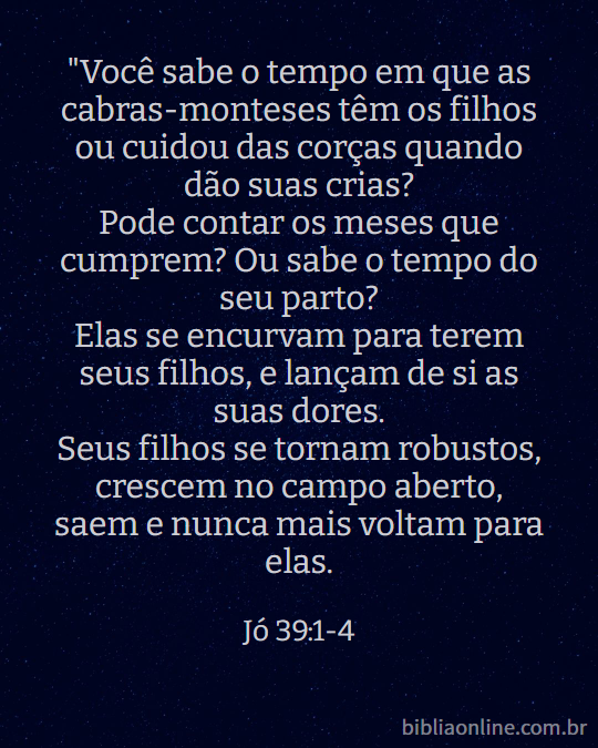 Jair47240183's tweet photo. Jó 39:1-4 - Nova Almeida Atualizada(NAA)
https://t.co/wBihX9aNHH
#Bíblia #BíbliaNAA #NAA #Jó39 #rpSp #Deus #Jó #questionamentos #perguntas #natureza #animais #entendimento #LEIA_A_BÍBLIA #ESTUDE_A_BÍBLIA #CONHEÇA_A_BÍBLIA @bibliaonline https://t.co/gnn2YnSKXU