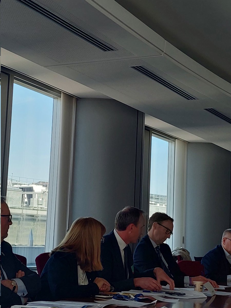 IDEAIreland's tweet image. 'The text adopted by the EU Parliament on the #EYS 
emphasises “ensuring socially fair and just green and digital 
transitions”. It talks about “empowering individuals to fully 
participate in the labour market, society and democracy.” 1/