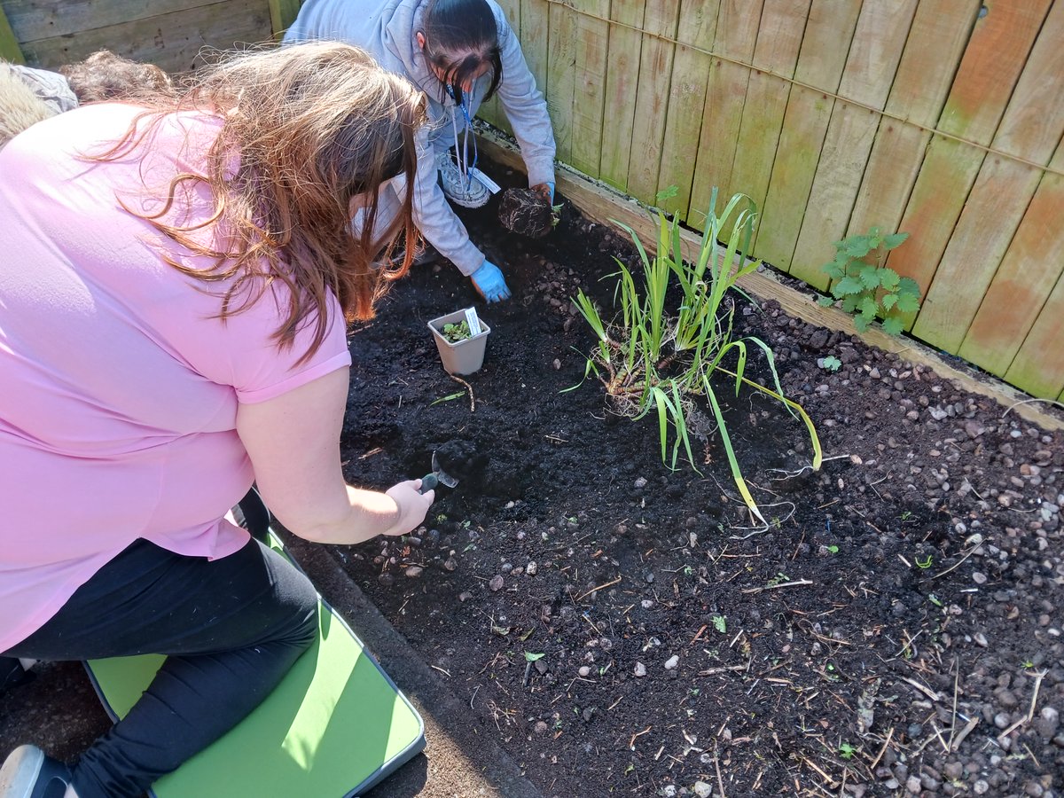 froglifers's tweet image. Our #CoalfaceToWildspace team created a bog garden with the @walsallwhg Gardening Club. This will provide a boggy refuge for #amphibians &amp;amp; valuable habitat for invertebrate species. The team will be back here on the 16th May to create a new #minipond too! #NationalGardeningWeek