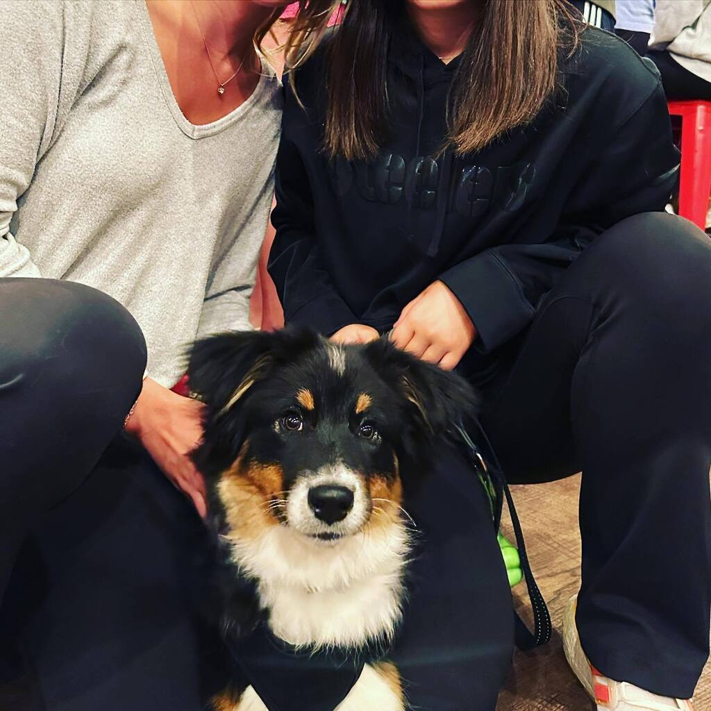 Ok how cute is this? We ❤️ when you bring the pups 🐶 over to see us! 🍺🍾🥂🍻
<a href="/lillyroth/">Puras McGannas 🔱🌹</a> 💕
.
.
.
#ncsu #raleighnc #raleighdogs #cutedogs #bardog #sweetdog #bestdog instagr.am/p/CrxjvPAu8-L/