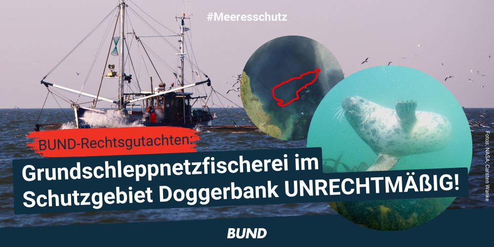 bund_net's tweet photo. Jetzt haben wir es Schwarz auf Weiß: #Grundschleppnetzfischerei hat nichts im #Meeresschutzgebiet #Doggerbank zu suchen. Der Einsatz dieser zerstörerischen Fischereimethode verstößt zweifellos gegen die #Naturschutzrichtlinie. #RechtsgutachtenDoggerbank 🧵👇 https://t.co/P9laQmHP4C