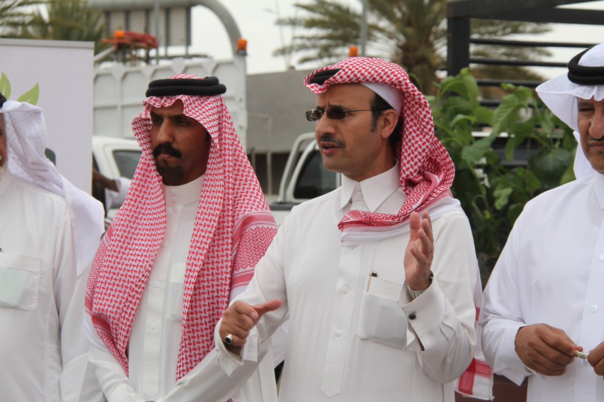 🌳رابطة طريب الخضراء 🌳 tweet media