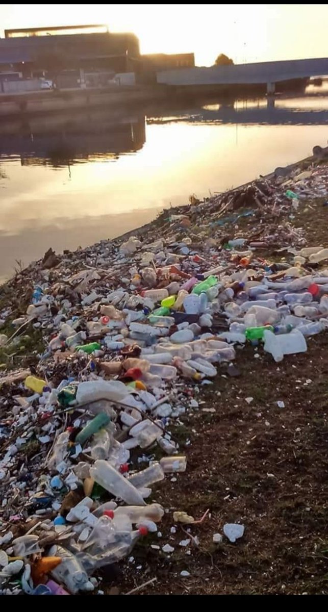 DMckeet95467's tweet photo. Population is something very serious in our community. As dirt and bottles are just thrown around. 
#refi_This @reficapetown #ReFicapetown #GitcoinBeta https://t.co/opFtKafeWB