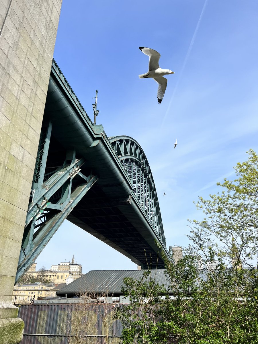 Dr Amit Pawa💉🎙️ tweet media