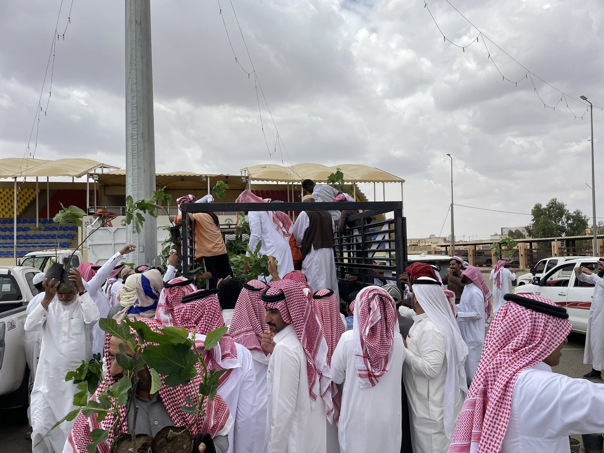 🌳رابطة طريب الخضراء 🌳 tweet media