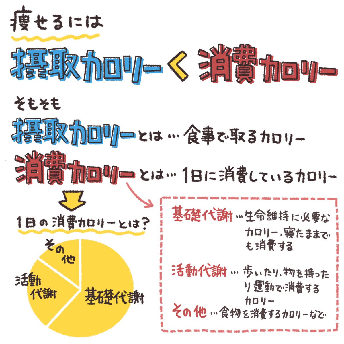 自分の1日の消費カロリーと摂取カロリーを知ってますか❓ 痩せるには消費カロリーが摂取カロリーを上回ることが不可欠です❗️ダイエットを始める前に「そんな当たり前のこと知ってるよ」と私は思いましたがそれが出来なかったから太ったんですよね😭  #あやダイ