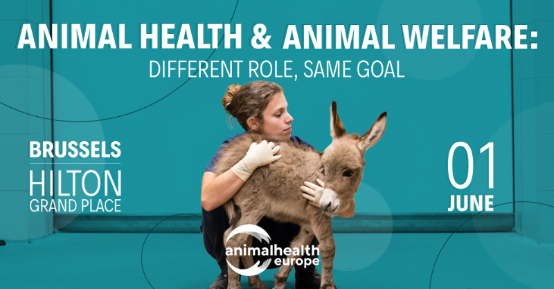 animalhealthEU's tweet photo. What hurdles to better animal welfare? 🤔

Our panelists👇 will be answering this and other questions during our June 1st event
🔵 Birthe Steenberg, @AvecPoultry Secretary General
🔵Claire Fowler, @animalhealthEU 
🔵Antonio Velarde, @irtacat