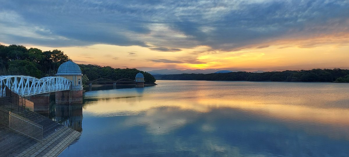 沈みきったくらいが好きだったりするよな