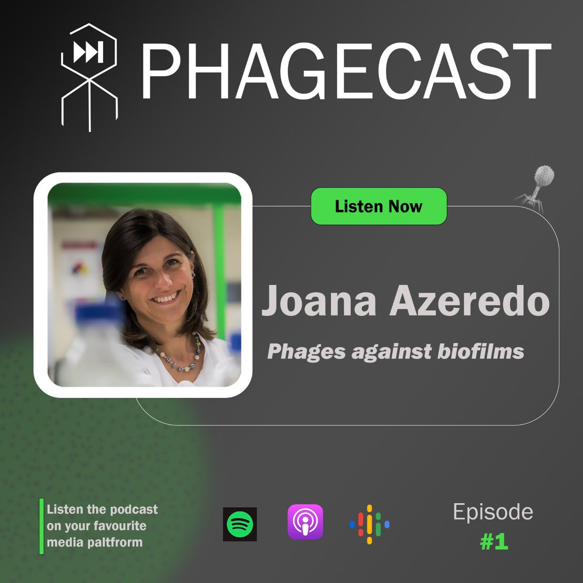 PhageCast (@phagecast) on Twitter photo Tune in for our first episode, where we had the pleasure to speak with Joana Azeredo (<a href="/azeredo_joana/">Joana Azeredo</a>) about her lifetime research on bacterial biofilms! 🎙️🎉
🧵 Tune in for our first episode, where we had the pleasure to speak with Joana Azeredo (<a href="/azeredo_joana/">Joana Azeredo</a>) about her lifetime research on bacterial biofilms! 🎙️🎉
🧵