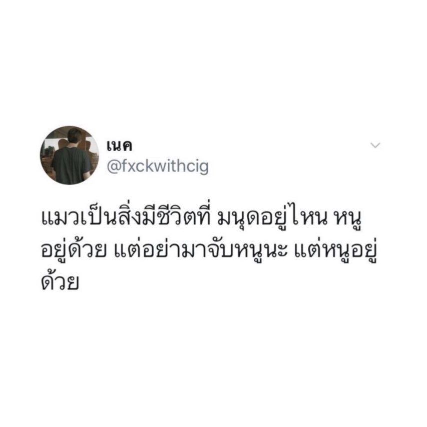 โกะie tweet media