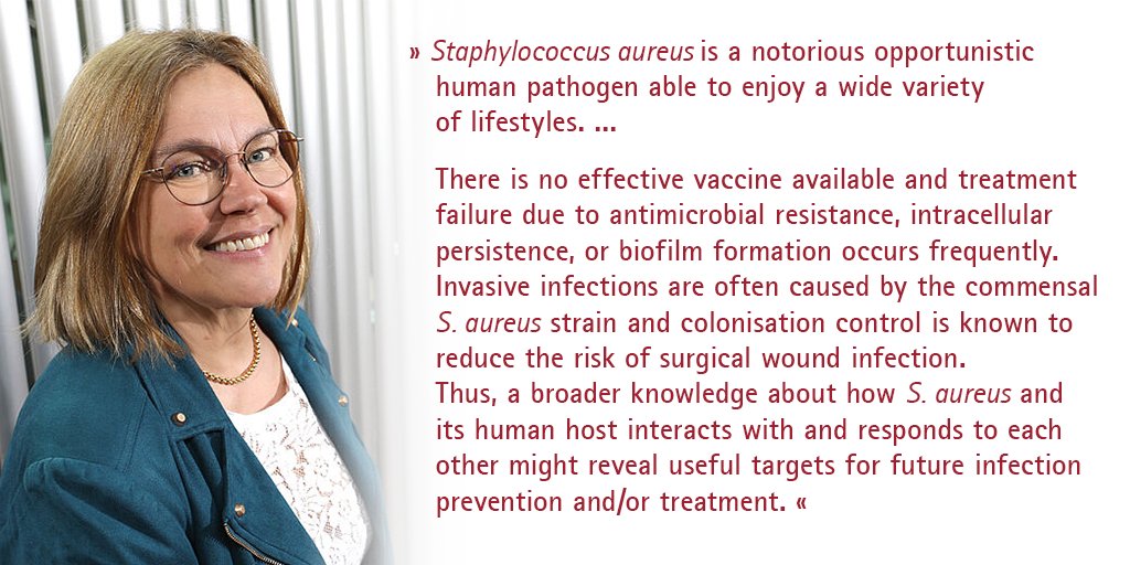 Staphylococcus aureus responses to a human host and vice versa

Fellow Lecture by Prof. Johanna U Ericson 
(Associated #Fellow of the Alfried Krupp Wissenschaftskolleg Greifswald)

3.5.2023 | 6pm

Stream: wiko-greifswald.de/programm/allge…

#KollegFamily