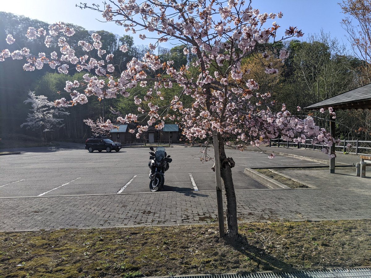 400XandTRICITY's tweet photo. GWイン八甲田山です。
山では桜、里にチューリップ!
湖ではキャンプと見所いっぱいですね!
(キャンプするとは言ってない)

#400X https://t.co/fbQOtSGQla
