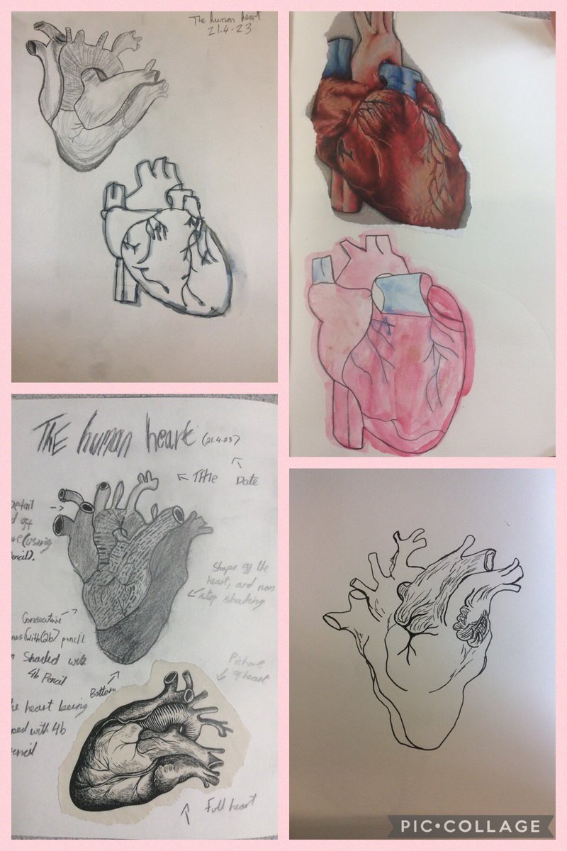 fps_6_rivendell's tweet image. We are amazing artists in Rivendell 🎨 🖌 As part of our biology lessons, we have been sketching the heart using different media and techniques ❤️ #fpsart #fpsscience