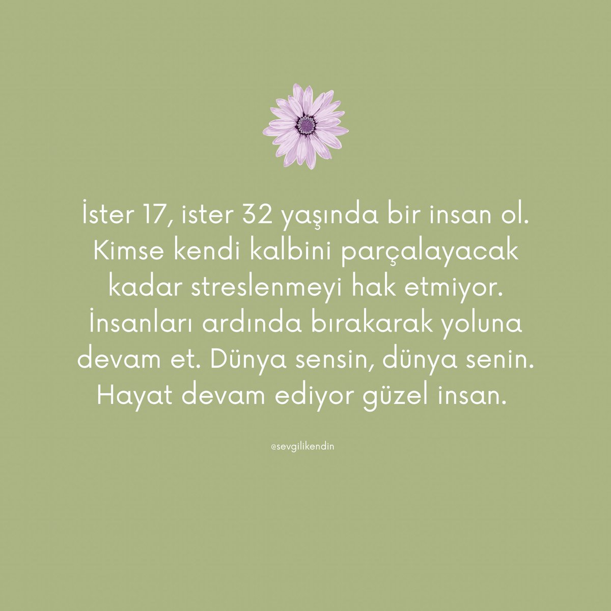 sevgilikendin's tweet photo. https://t.co/iKQVFUIGQj