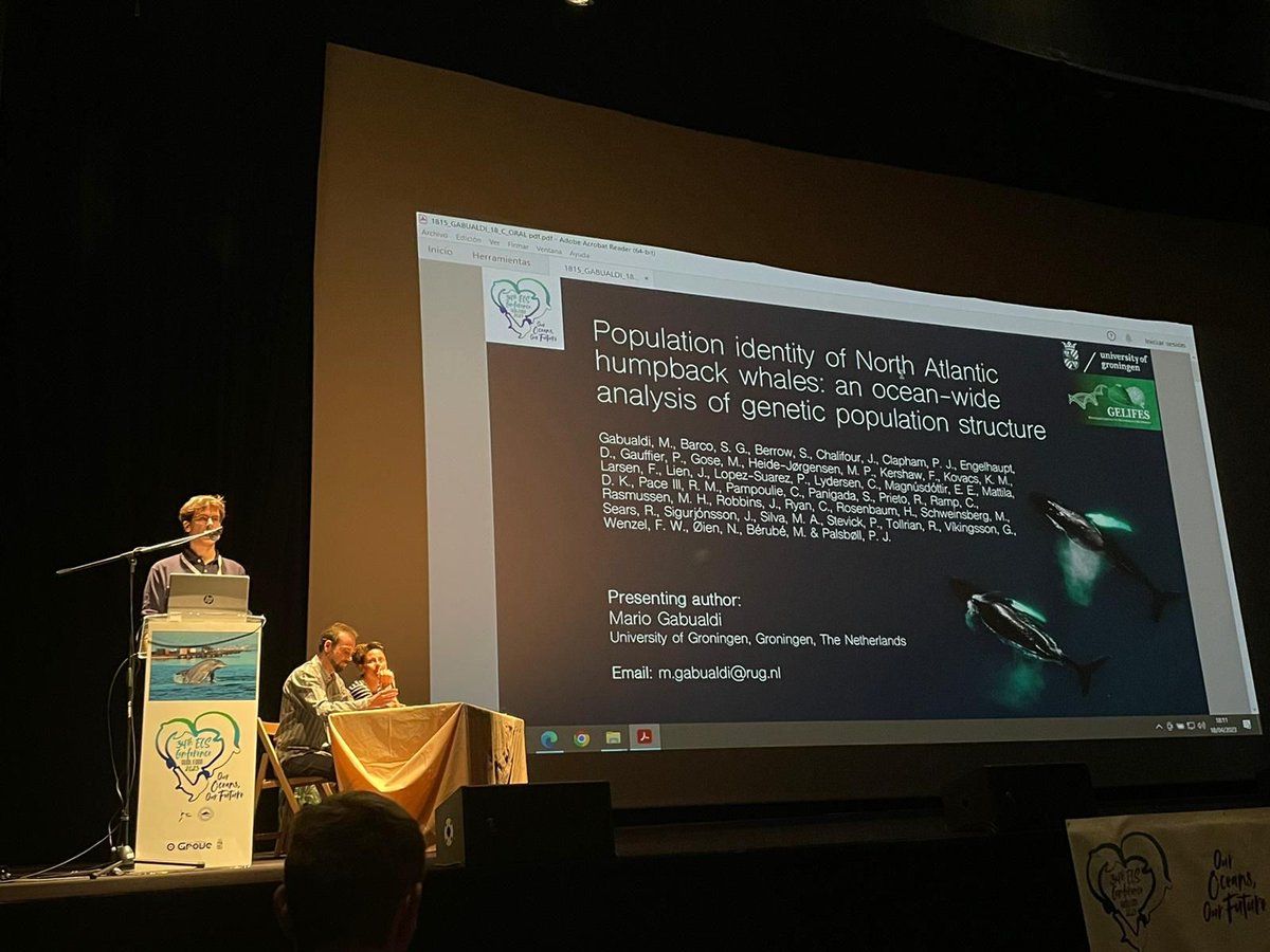 MarEvoCon's tweet image. @MGabualdi gave a talk on the ocean-wide population genetic structure of North Atlantic humpbacks, using ~3,000 samples from multiple locations across the Atlantic Ocean 3/3