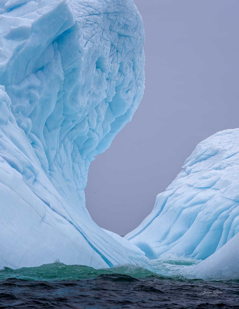 Nature's Beauty!!!🥰👇😊
Twillingate
Newfoundland and Labrador🇨🇦
Twillingate Adventure Tours
#twillingate #explorenl #travelcanada #explorecanada

April 26 2023
Julian Earle Photography