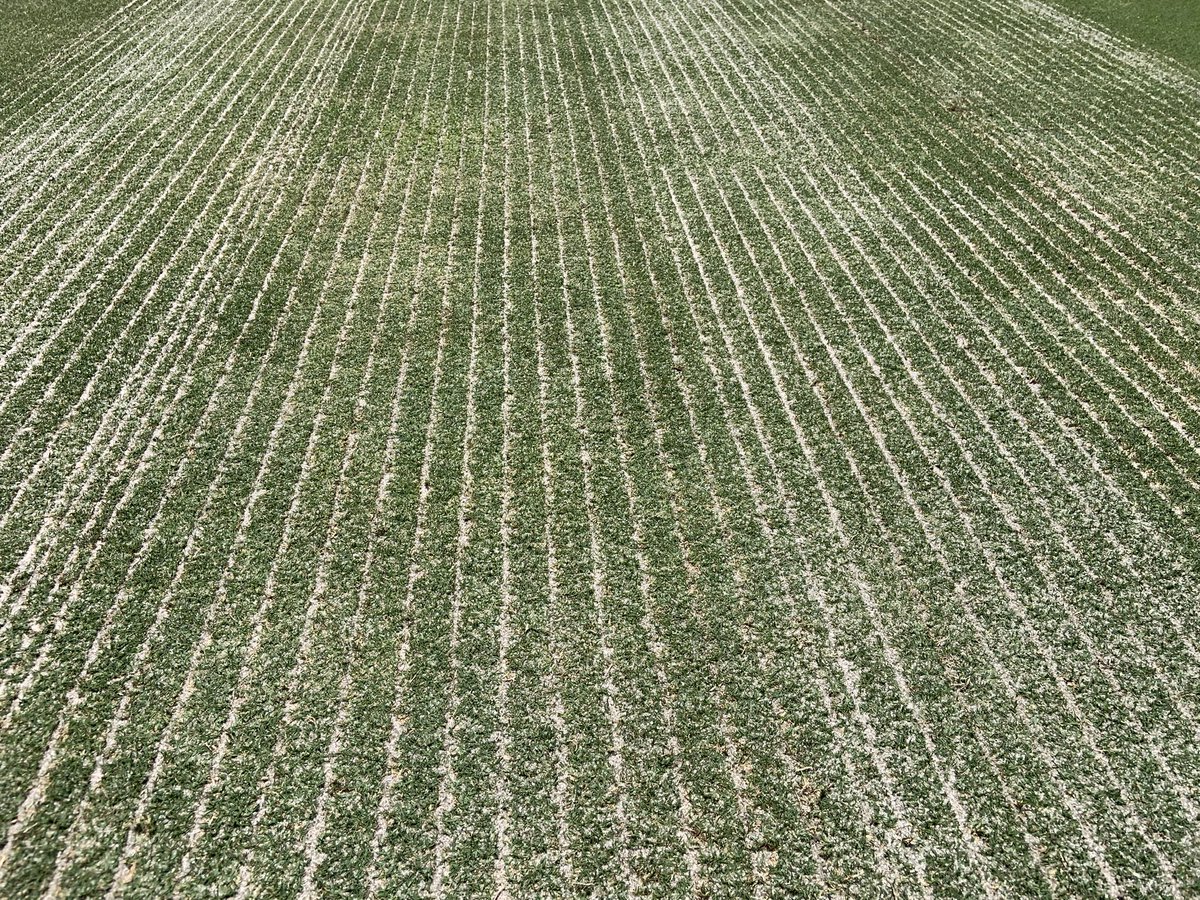 Southern Turfgrass Services tweet media