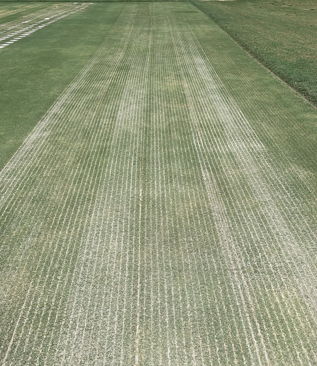 Southern Turfgrass Services tweet media