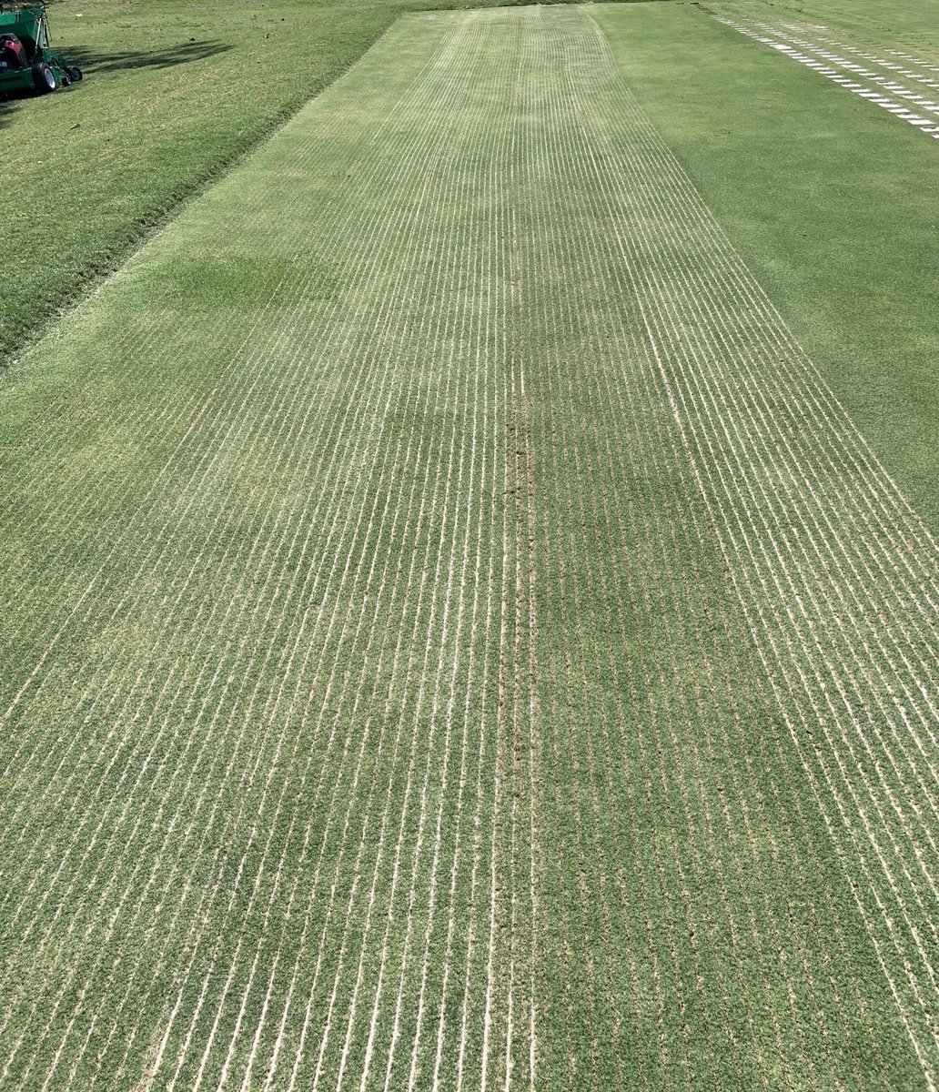 Southern Turfgrass Services tweet media