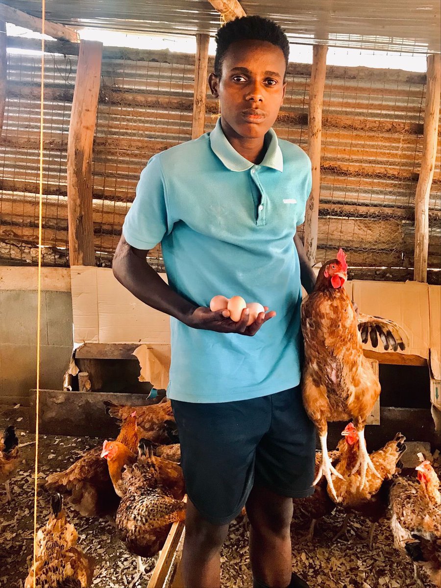 Who is interested in Poultry farming?

Say Hi 👋 in comment section.

    I'm ready to guide you!

#backyardfarm #chickenkeeping #poultry #chickenfarm #agribusiness #farming