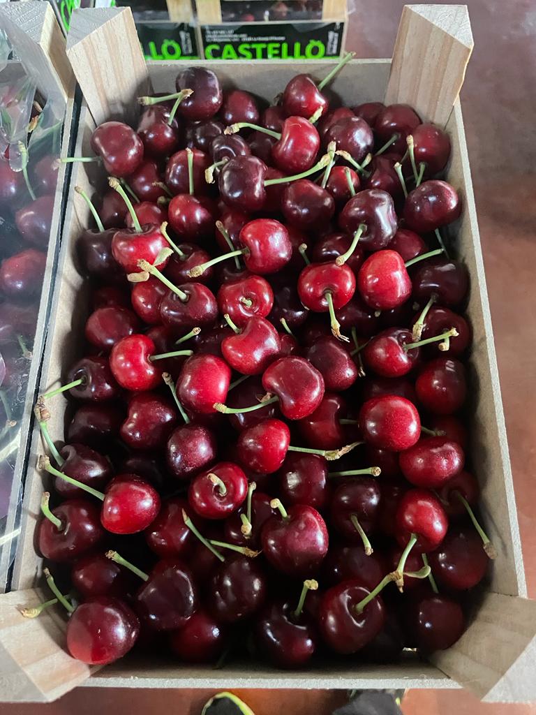 Fruco_plc's tweet photo. We have arriving this coming weekend the finest cherries from Spain. Available sizes 

24+
26+
28+

Please contact the office for price detailing https://t.co/aEVfD1NcPj