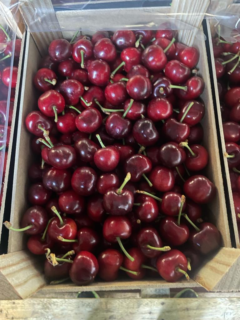 We have arriving this coming weekend the finest cherries from Spain. Available sizes 

24+
26+
28+

Please contact the office for price detailing